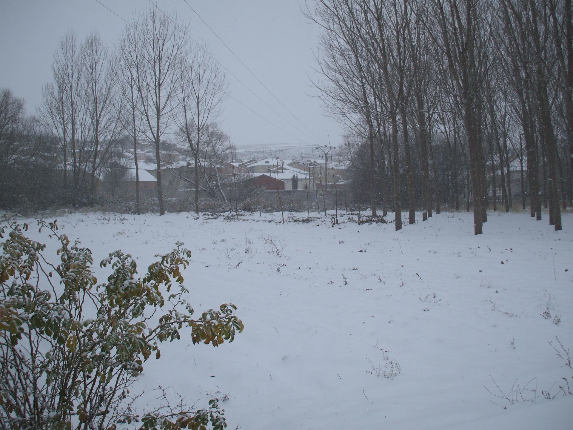 Continua nevando en Royuela de Rio Franco