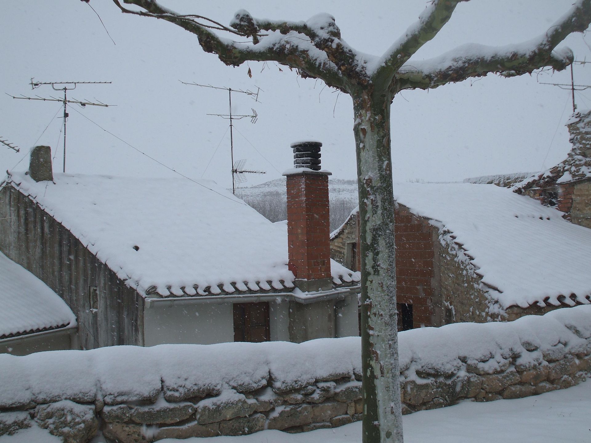 A las 13 horas y 15 minutos ha dejado de nevar, de momento.