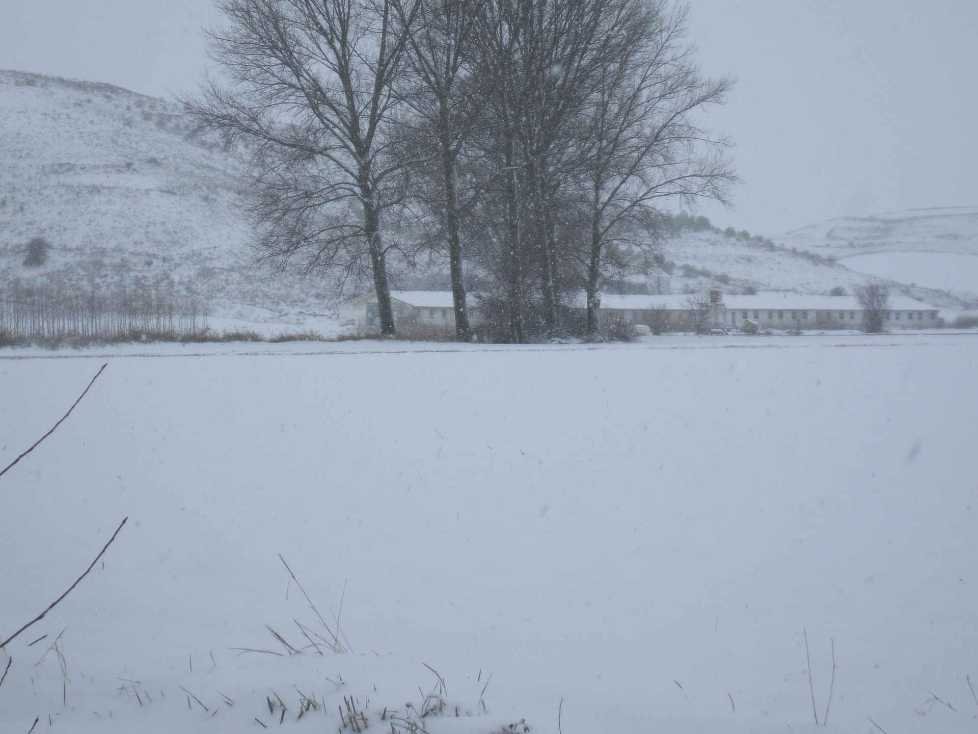A las 13 horas y 15 minutos ha dejado de nevar, de momento.