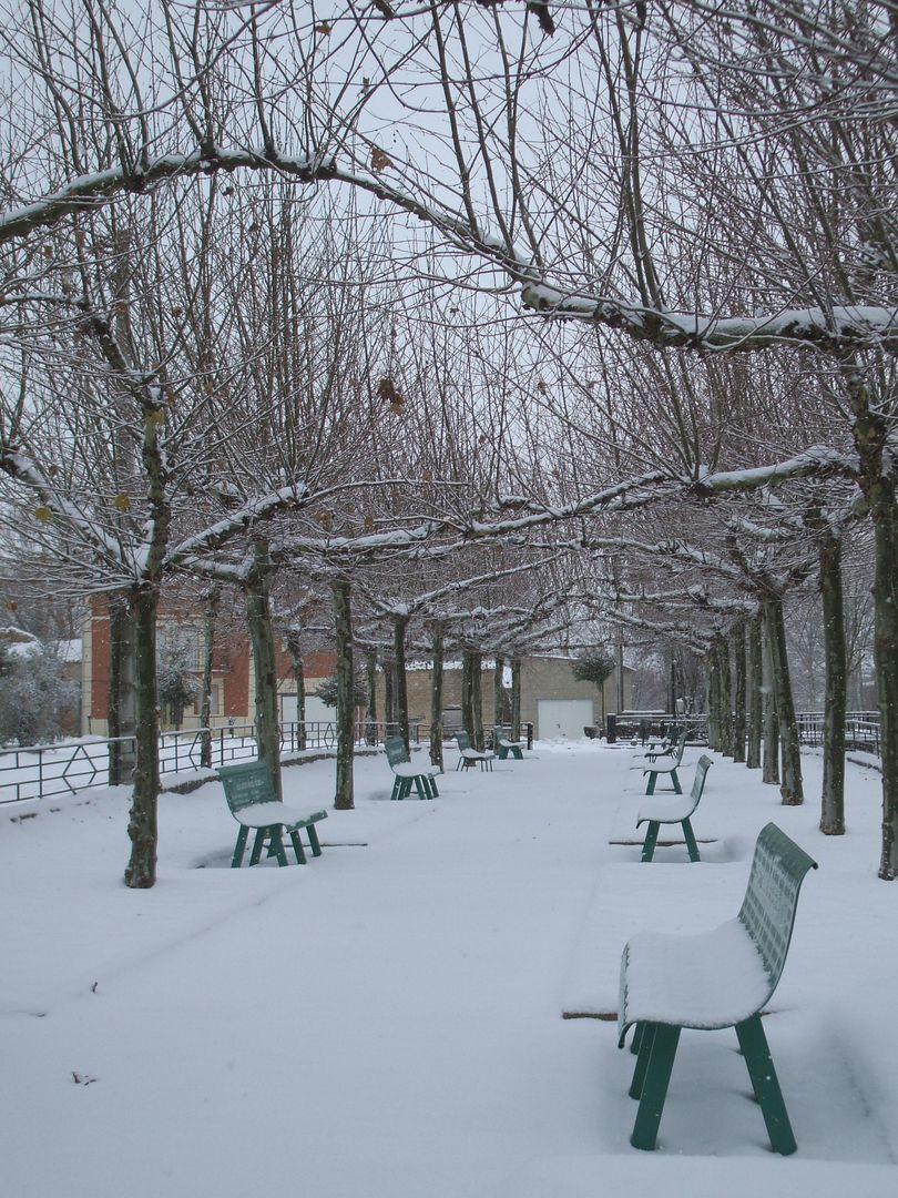 A las 13 horas y 15 minutos ha dejado de nevar, de momento.