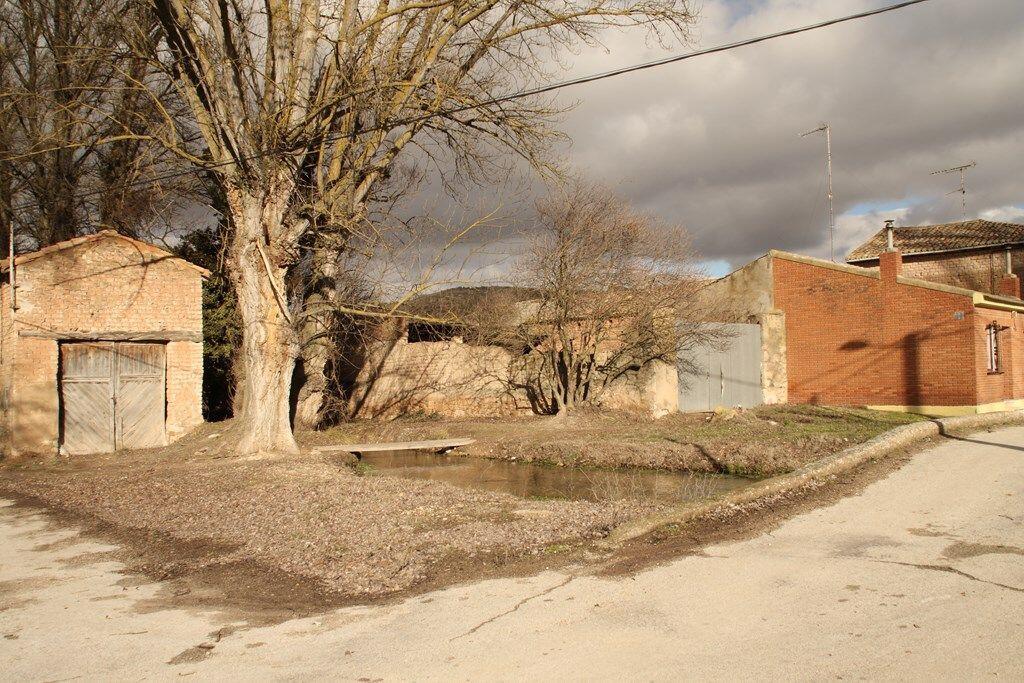 Fotografía de la galería de imágenes con id: 885